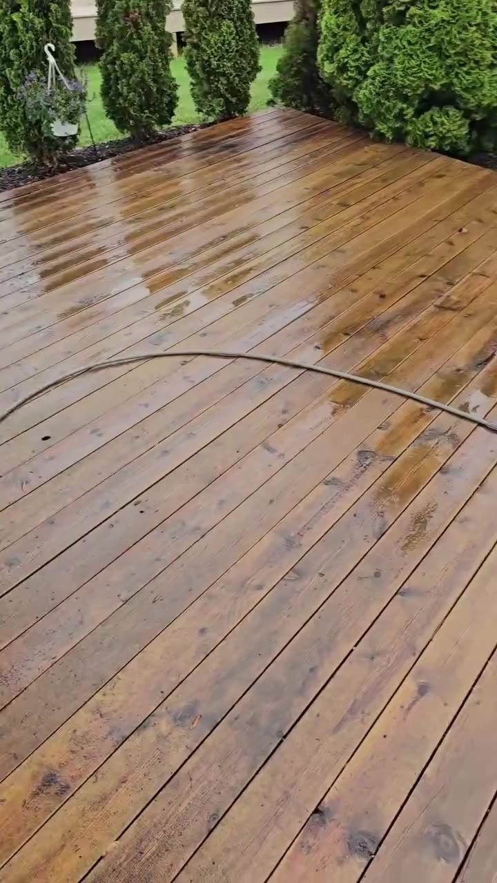 Backyard reset — patio + BBQ deep clean, North York