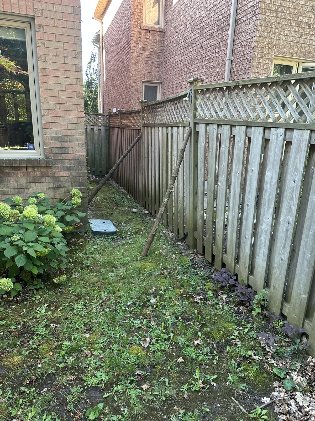 Cedar fence restoration, Roncesvalles, end-of-season prep