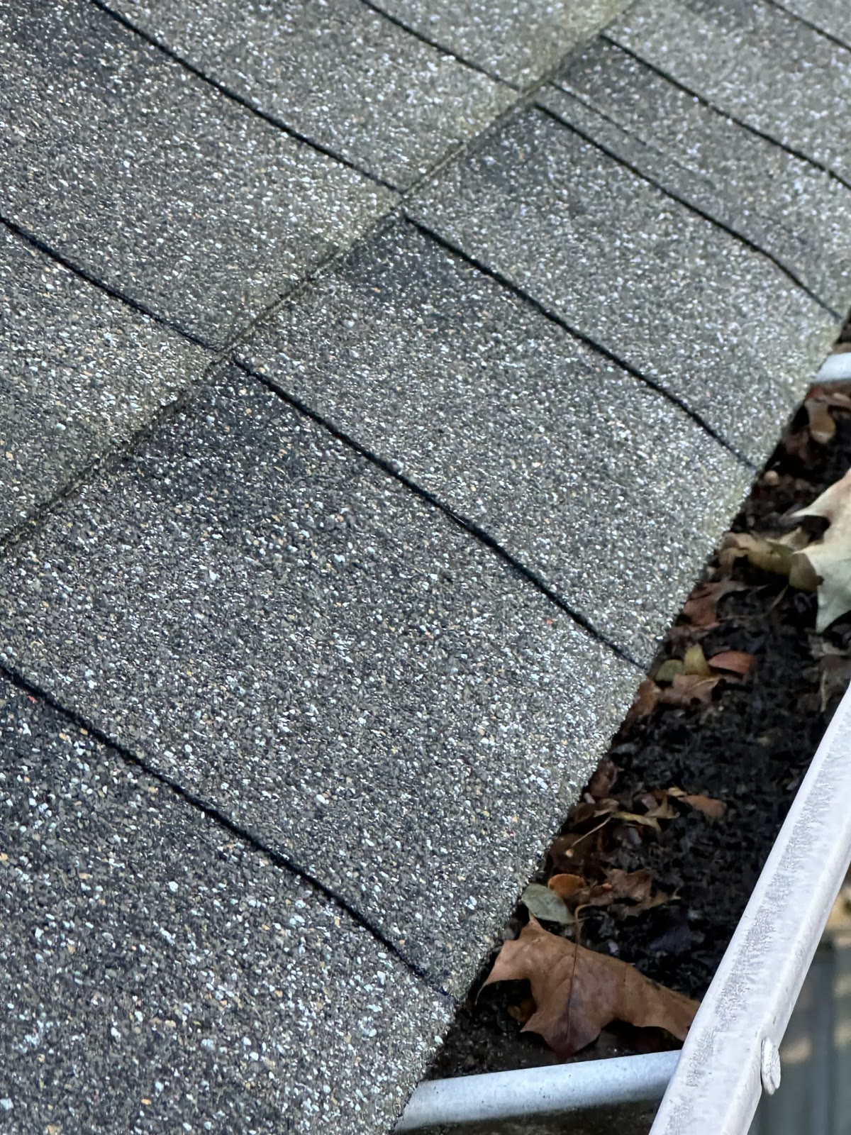 Interior-trim freshen-up, Aurora, baseboards and door frames